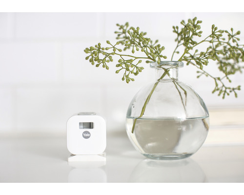 Yale Logo neben einer Glasvase mit Pflanze