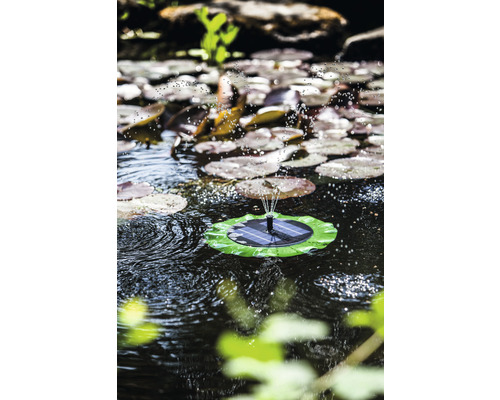 Fontaine de bassin solaire sur un étang avec des feuilles de nénuphar.