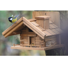 Cabane à oiseaux en bois style chalet avec clôture et oiseau