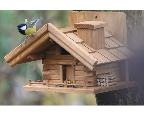 Cabane à oiseaux en bois style chalet avec clôture et oiseau