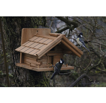Nichoir en bois avec deux mésanges