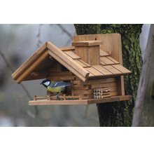 Mangeoire en bois style chalet avec mésange