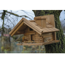 Nichoir de style chalet avec rouge-gorge sur un arbre