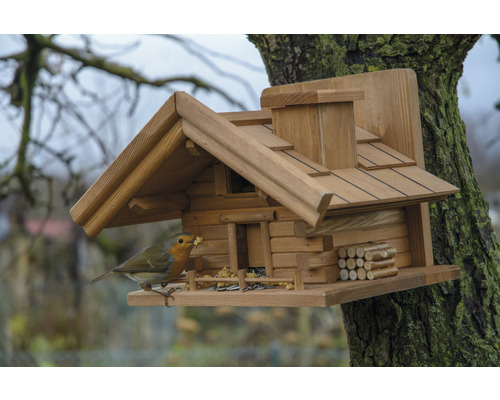Nichoir de style chalet avec rouge-gorge sur un arbre