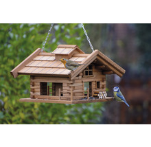 Maison pour oiseaux en bois de style chalet avec deux oiseaux