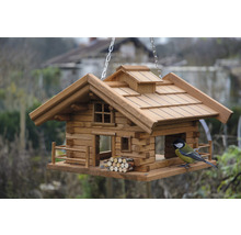 Mangeoire à oiseaux style chalet avec mésange