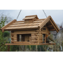 Maison pour oiseaux en bois avec chaîne de suspension et oiseau