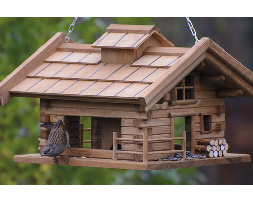 Mangeoire à oiseaux style chalet avec oiseau