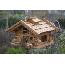 Maison pour oiseaux style chalet avec oiseau