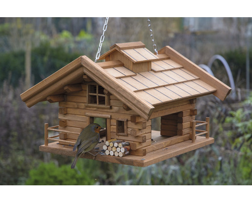 Maison pour oiseaux style chalet avec oiseau