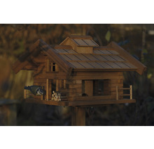 Maison pour oiseaux style chalet avec mésange bleue
