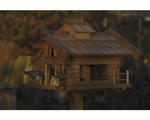 Maison pour oiseaux style chalet avec mésange bleue