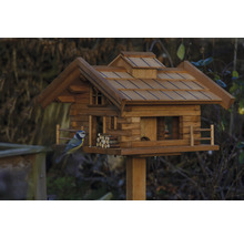 Nichoir style chalet avec mésange bleue