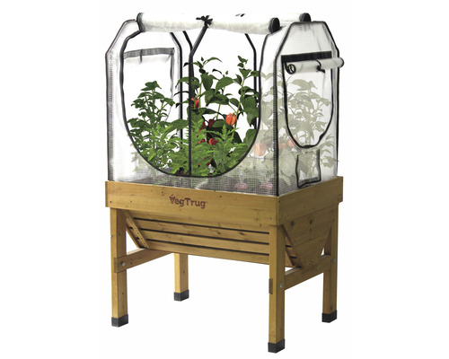 Jardinière surélevée avec serre pour le jardin