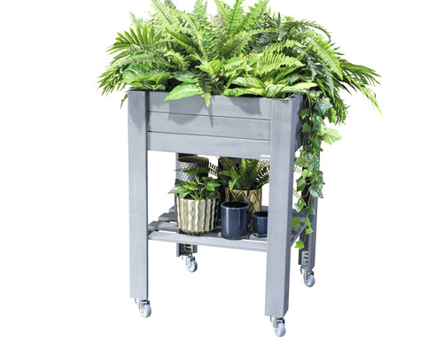 Jardinière surélevée en bois avec roulettes et plantes