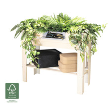 Table en bois avec plantes et décoration et label Forest Stewardship Council