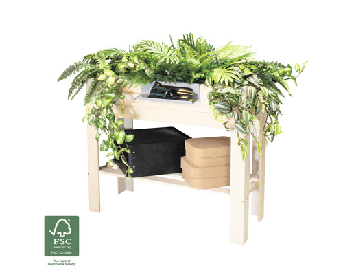 Table en bois avec plantes et décoration et label Forest Stewardship Council