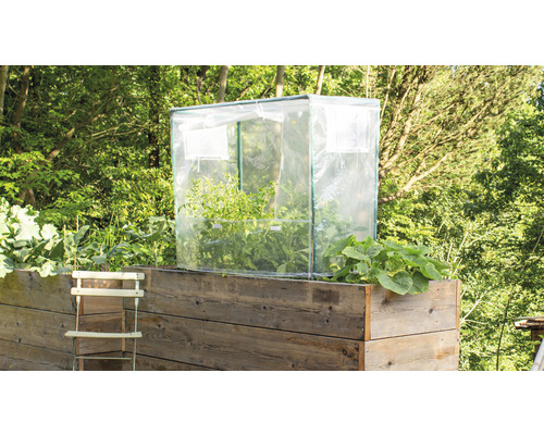 Jardinière surélevée avec serre et plantes