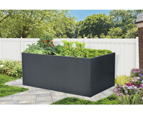 Jardinière surélevée avec des légumes dans le jardin
