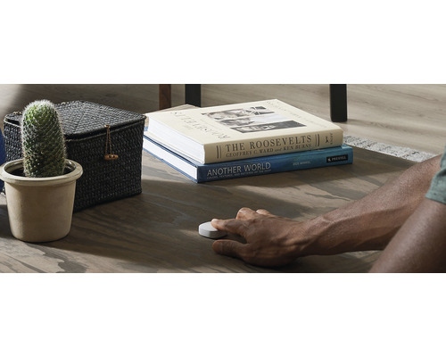 Salon décoratif avec cactus, panier de rangement, livres et personne utilisant un bouton intelligent