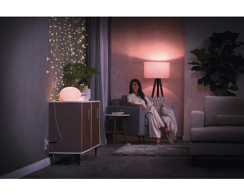 Salon avec canapé, fauteuil, commode, lampe de table, guirlande lumineuse et plante d''intérieur pour une ambiance chaleureuse.