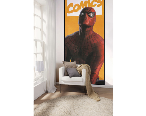 Chambre décorative avec fauteuils, coussins, couverture et poster Spider-Man