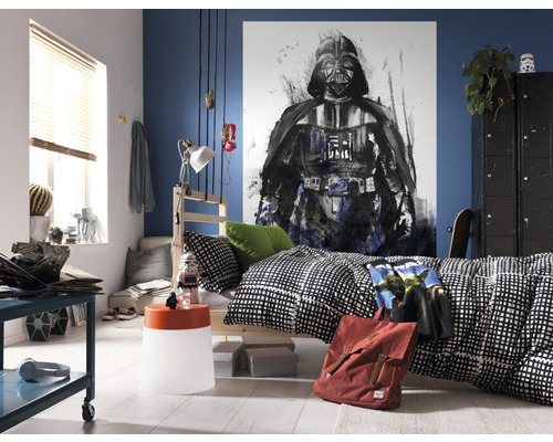 Chambre de garçon avec fresque murale Star Wars, lit et meubles