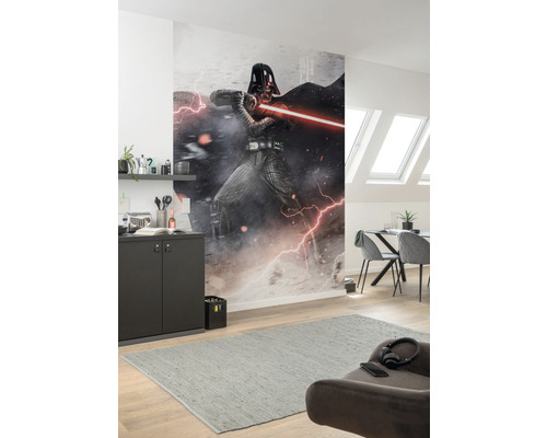 Espace de vie avec un papier peint photo d''un personnage de Star Wars sur le mur.