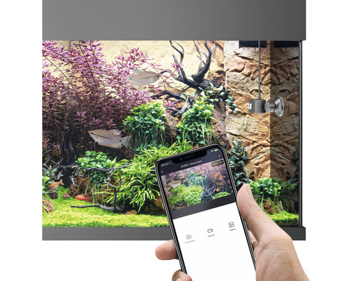 Aquarium mit Pflanzen, Fischen, JUWEL SmartCam und Smartphone