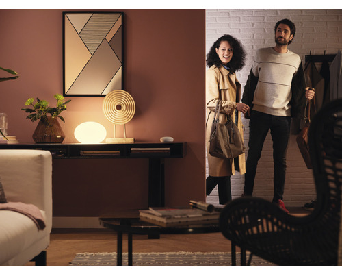Salon avec lampe de table, décoration, couple et entrée