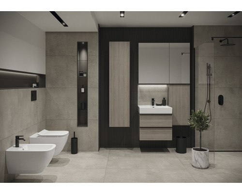 Salle de bain moderne avec WC, bidet, lavabo, armoire de toilette et douche