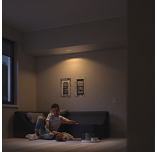 Wohnzimmer mit Deckenleuchte, Sofa, Mann und Hund