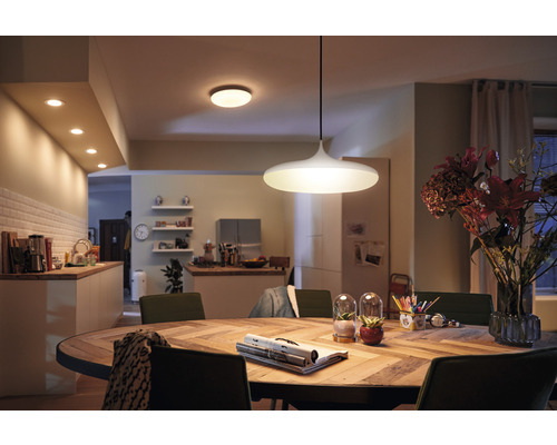 Philips Hue LED Pendelleuchte 25 W 3000 lm schwarz kompatibel mit SMART HOME by hornbach Philips Hue LED Pendelleuchte 25 W 3000 lm schwarz kompatibel mit SMART HOME by hornbach