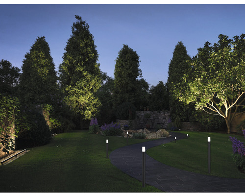 Jardin éclairé avec chemin et arbres de nuit