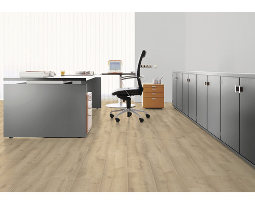 Büroraum mit Schreibtisch, Bürostuhl, Rollcontainer, Schrank und Laminatboden