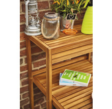 Étagère en bois avec décoration de jardin et articles de jardinage