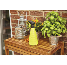 Scène de jardin avec pulvérisateur, lanterne et plantes sur une table en bois