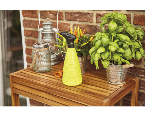 Scène de jardin avec pulvérisateur, lanterne et plantes sur une table en bois