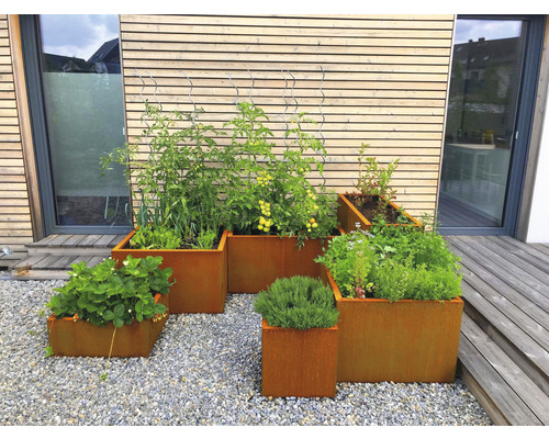Plusieurs parterres de jardin surélevés en métal avec des plantes sur un sol en gravier devant une maison.
