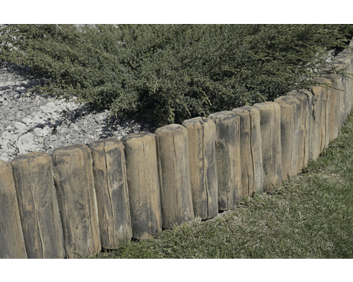 Scène de jardin avec bordure de pelouse en rondins de bois et plantation