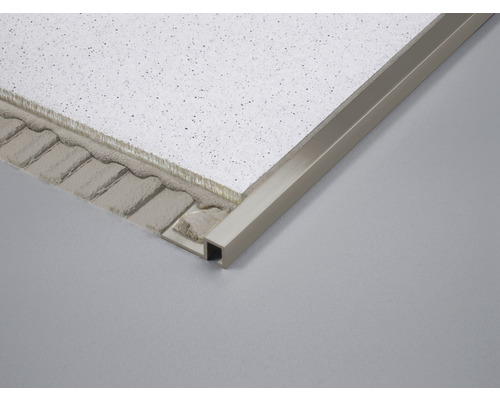 Detailansicht einer Deckenplatte mit Einfassungsprofil