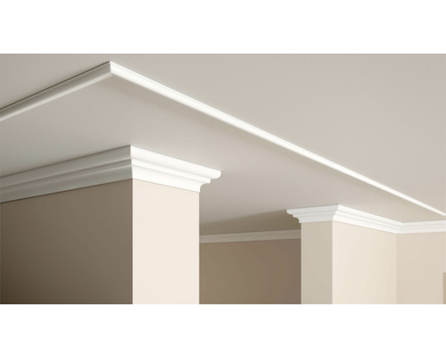 Intérieur avec des moulures décoratives fixées au plafond et aux murs