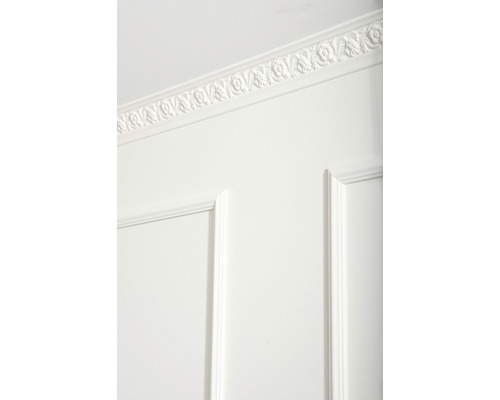 Panneau mural avec moulure décorative au plafond