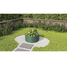 Jardinière surélevée en métal avec courgettes dans le jardin