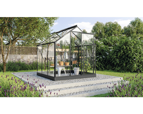 Serre avec des plantes sur une terrasse de jardin