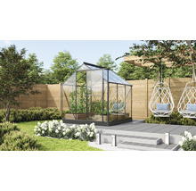 Serre Vitavia Triton 3800 verre de sécurité 3 mm 198 x 193 cm noir