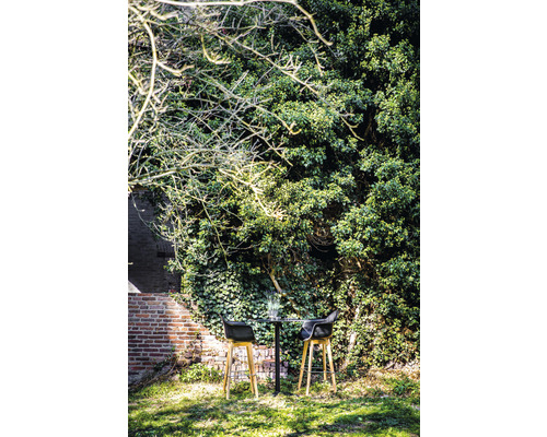 Scène de jardin avec table de bistrot et deux tabourets de bar devant un mur végétalisé
