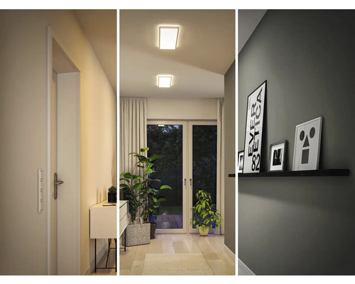 Flur mit Tür, Kommode, Zimmerpflanzen, Deckenleuchten und Wandregal mit Bildern