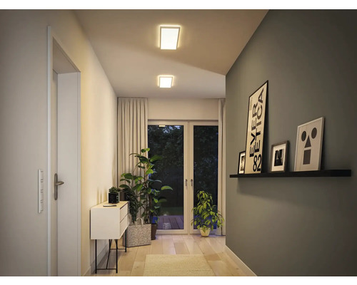 Couloir avec plafonniers, commode, plantes, photos et porte