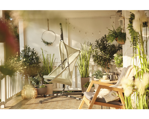 Balcon décoré avec fauteuil suspendu, plantes et sièges